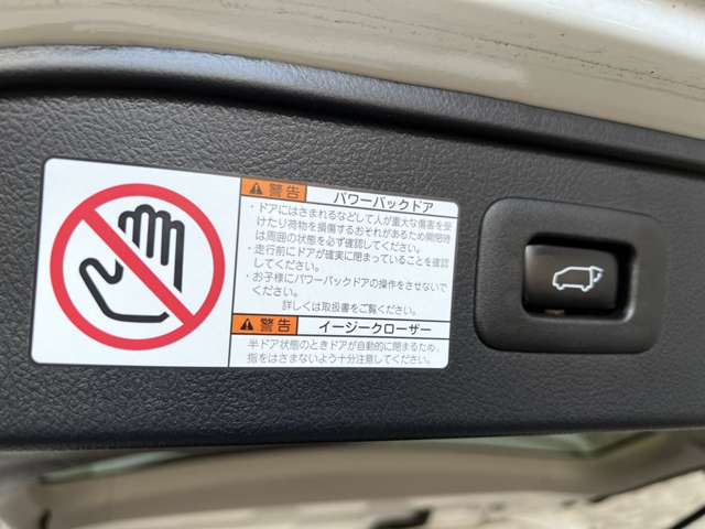 トヨタ ヴェルファイア ３．５ ＺＡ Ｇエディション ４ＷＤ H28年 (関東) 99