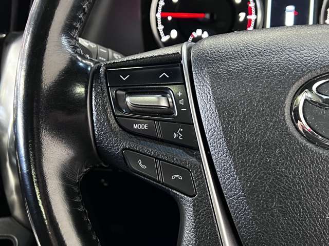 トヨタ アルファード ２．５ Ｓ Ａパッケージ タイプ ブラック H29年 (関東) 99