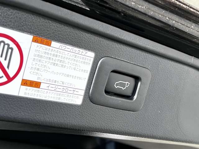 トヨタ アルファード ２．５ Ｓ Ａパッケージ タイプ ブラック H29年 (関東) 99