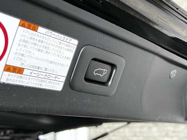 トヨタ アルファード ２．５ Ｓ タイプゴールド R2年 (関東) 99