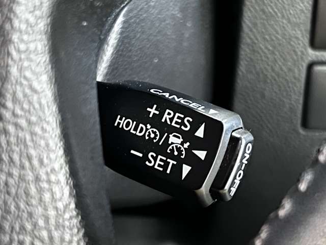 トヨタ アルファード ２．５ Ｓ タイプゴールド R2年 (関東) 99