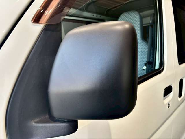 ダイハツ ハイゼットカーゴ ６６０ スペシャル ハイルーフ H29年 (近畿) 99