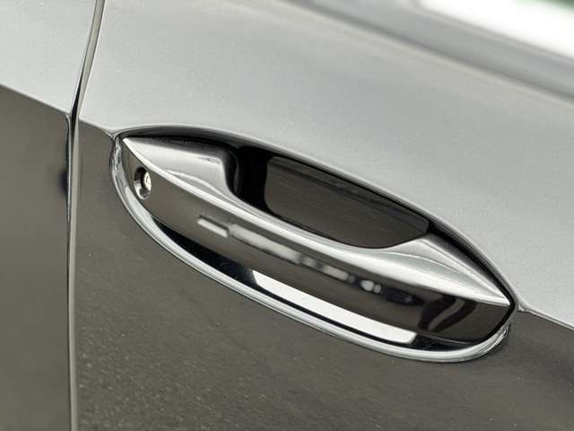 フォルクスワーゲン ゴルフヴァリアント ＴＤＩ Ｒライン プラチナム エディション ディーゼルターボ R5年 (近畿) 99