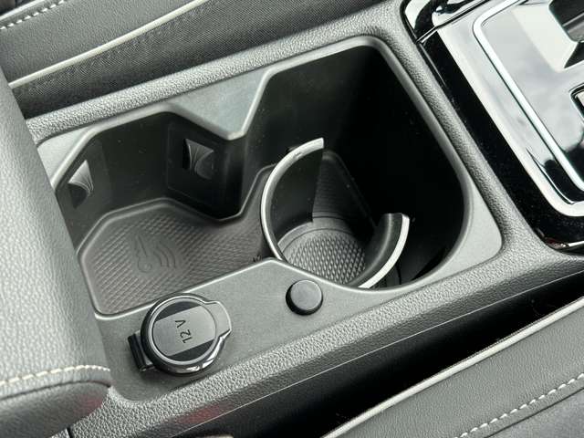 フォルクスワーゲン ゴルフヴァリアント ＴＤＩ Ｒライン プラチナム エディション ディーゼルターボ R5年 (近畿) 99