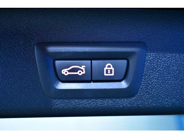 ＢＭＷ ５シリーズ ５４０Ｉ Ｘドライブ Ｍスポーツ ４ＷＤ R3年 (関東) 99