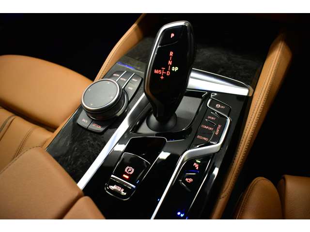 ＢＭＷ ５シリーズ ５４０Ｉ Ｘドライブ Ｍスポーツ ４ＷＤ R3年 (関東) 99