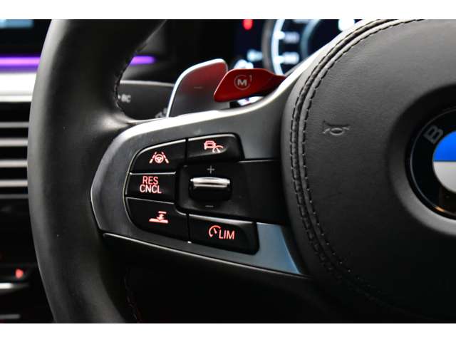 ＢＭＷ Ｍ５ ４．４ ４ＷＤ H30年 (関東) 99