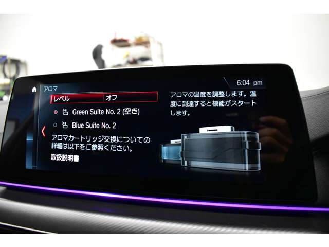 ＢＭＷ Ｍ５ ４．４ ４ＷＤ H30年 (関東) 99