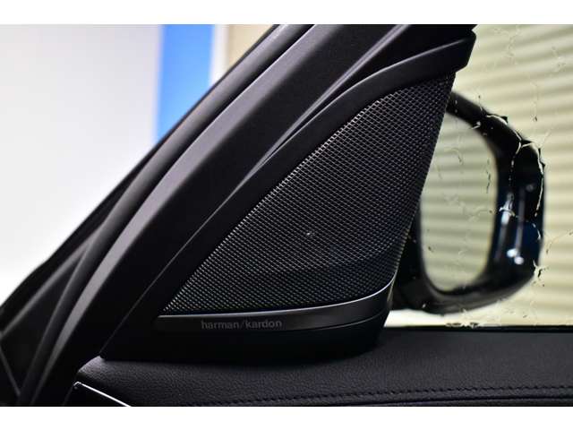 ＢＭＷ Ｍ５ ４．４ ４ＷＤ H30年 (関東) 99