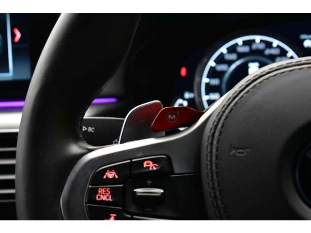 ＢＭＷ Ｍ５ ４．４ ４ＷＤ H30年 (関東) 99