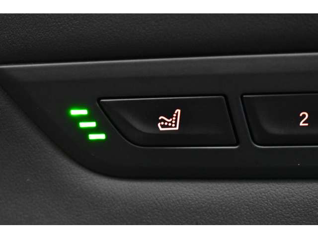 ＢＭＷ Ｍ５ ４．４ ４ＷＤ H30年 (関東) 99