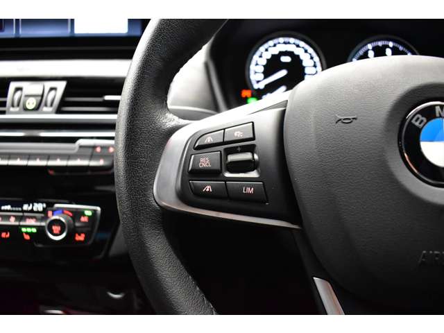 ＢＭＷ Ｘ１ Ｘドライブ １８Ｄ Ｘライン ４ＷＤ R1年 (関東) 99