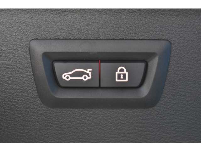 ＢＭＷ Ｘ１ Ｘドライブ １８Ｄ Ｘライン ４ＷＤ R1年 (関東) 99