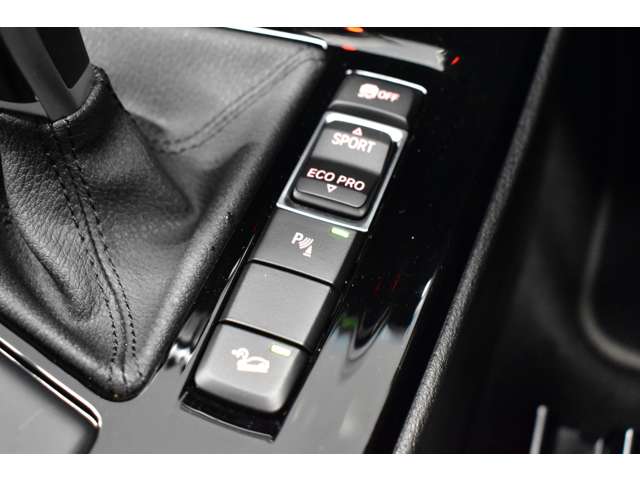 ＢＭＷ Ｘ１ Ｘドライブ １８Ｄ Ｘライン ４ＷＤ R1年 (関東) 99