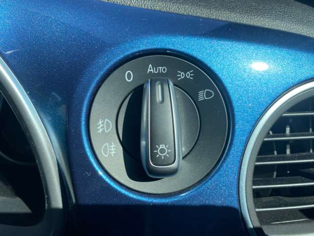 フォルクスワーゲン ザ　ビートル デザイン H29年 (東北) 99