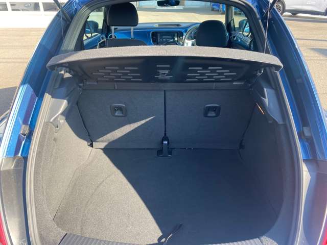 フォルクスワーゲン ザ　ビートル デザイン H29年 (東北) 99