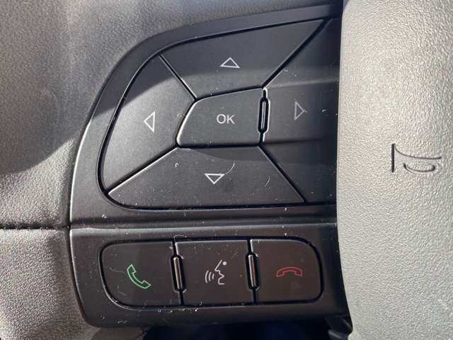 フィアット ５００Ｘ クロスプラス ４ＷＤ H29年 (東北) 99