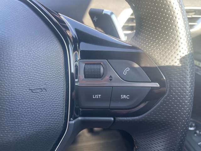 プジョー ５００８ ＧＴ ブルーＨＤＩ ディーゼルターボ R3年 (東北) 99