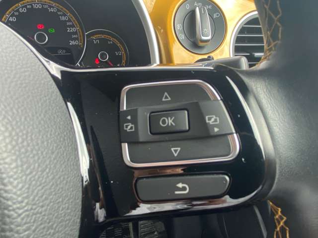 フォルクスワーゲン ザ　ビートル デューン H29年 (東北) 99