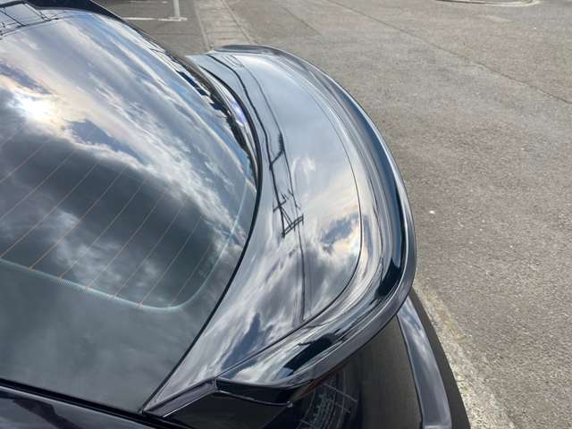 フォルクスワーゲン ザ　ビートル デューン H29年 (東北) 99