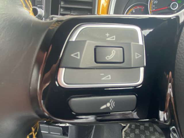 フォルクスワーゲン ザ　ビートル デューン H29年 (東北) 99