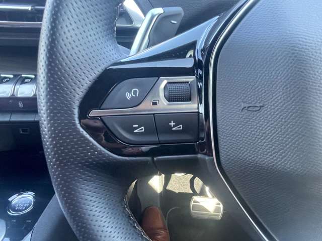 プジョー ３００８ ＧＴ ブルーＨＤＩ レッド ナッパ ディーゼルターボ R3年 (東北) 99