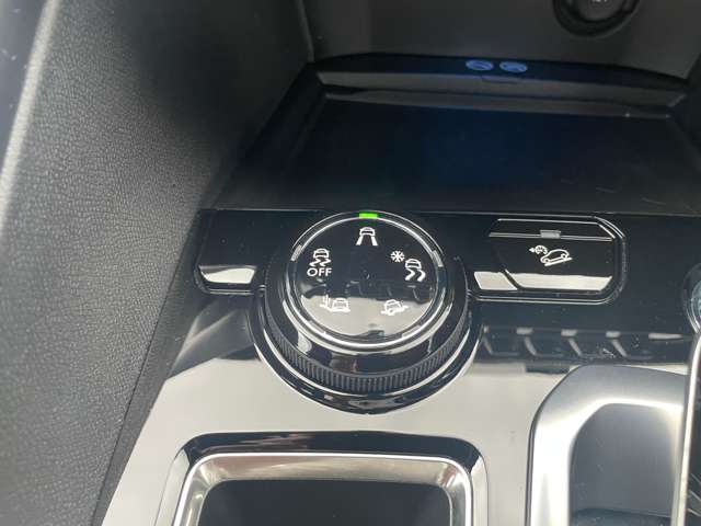 プジョー ３００８ ＧＴ ブルーＨＤＩ ディーゼルターボ H30年 (東北) 99