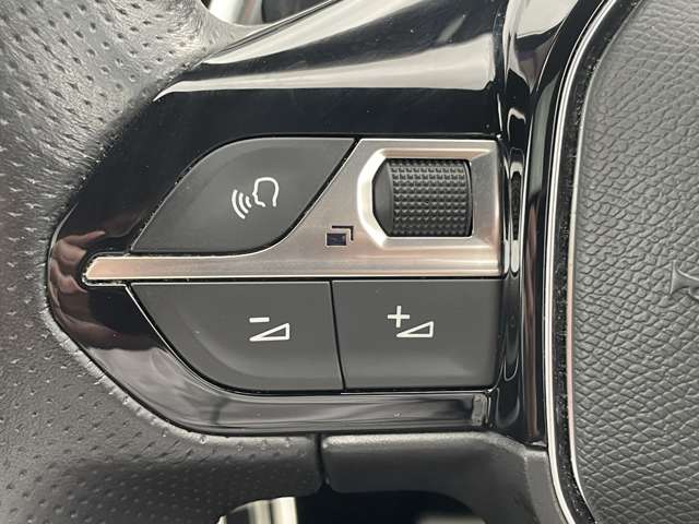 プジョー ３００８ ＧＴ ブルーＨＤＩ ディーゼルターボ H30年 (東北) 99