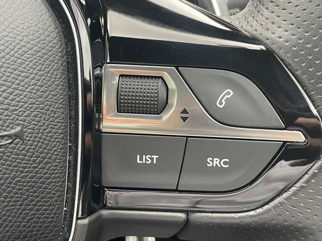 プジョー ３００８ ＧＴ ブルーＨＤＩ ディーゼルターボ H30年 (東北) 99