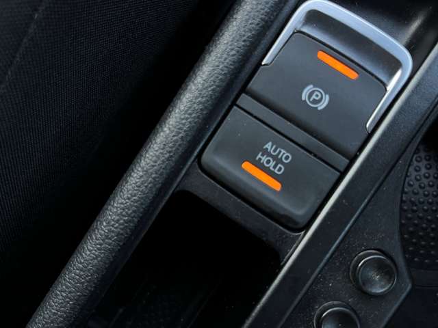 フォルクスワーゲン ゴルフトゥーラン ＴＤＩ ハイライン ディーゼルターボ R1年 (東北) 99