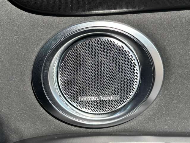 アルファロメオ トナーレ ヴェローチェ R5年 (東北) 99