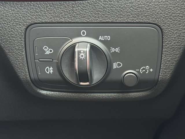 アウディ Ｑ２ ハッシュタグ　アニバーサリー　リミテッド H30年 (東北) 99