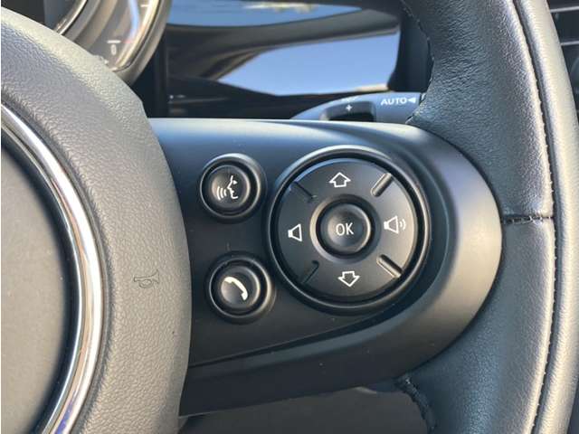 ミニ ミニ クーパーＳ ５ドア ＤＣＴ R1年 (東北) 99