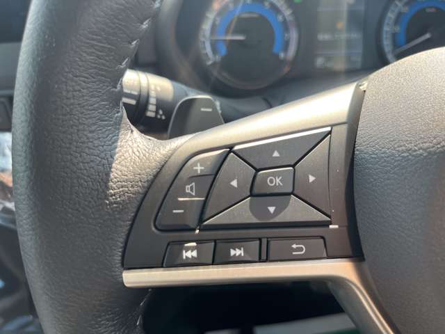 三菱 デリカ　ミニ ６６０ Ｔ プレミアム R7年 (関東) 99