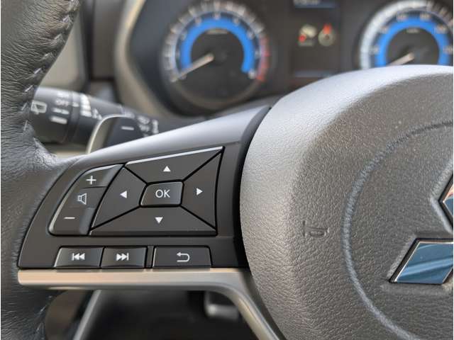 三菱 デリカ　ミニ ６６０ Ｔ プレミアム ４ＷＤ R7年 (関東) 99