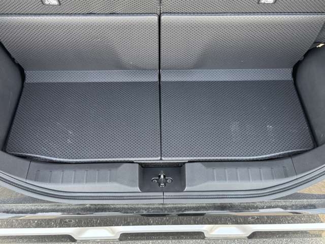 三菱 デリカ　ミニ ６６０ Ｔ プレミアム ４ＷＤ R6年 (中国) 99