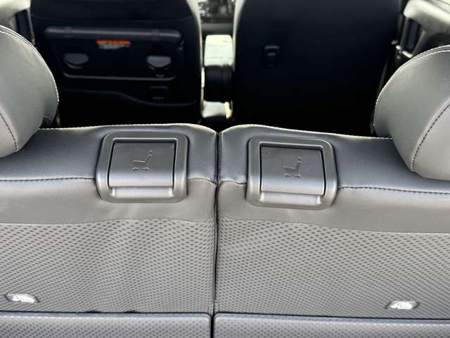 三菱 デリカ　ミニ ６６０ Ｔ プレミアム ４ＷＤ R6年 (中国) 99