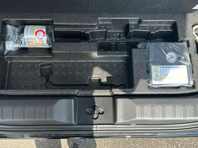 三菱 デリカ　ミニ ６６０ Ｔ プレミアム ４ＷＤ R6年 (中国) 99