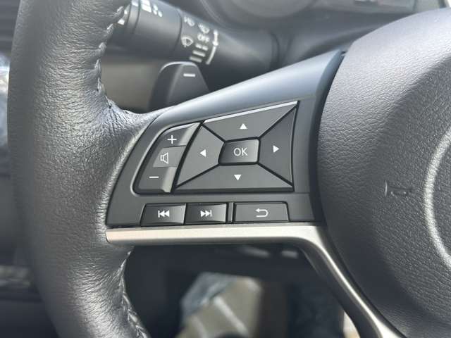 三菱 デリカ　ミニ ６６０ Ｔ プレミアム ４ＷＤ R6年 (中国) 99