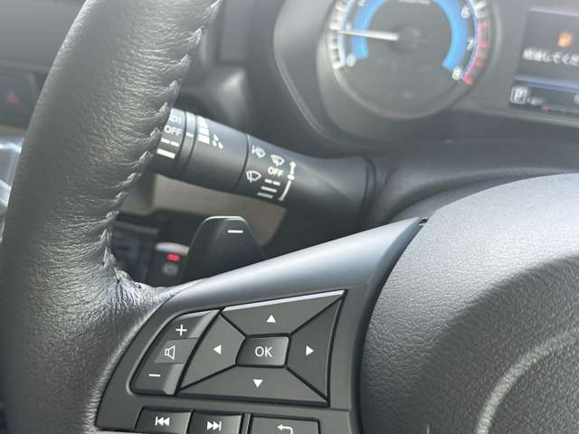 三菱 デリカ　ミニ ６６０ Ｔ プレミアム ４ＷＤ R6年 (中国) 99