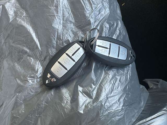 三菱 デリカ　ミニ ６６０ Ｔ プレミアム ４ＷＤ R6年 (中国) 99