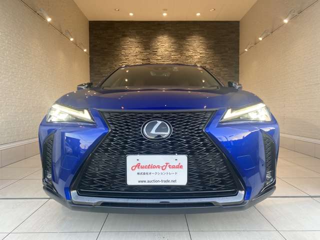 レクサス ＵＸ２５０ｈ Ｆスポーツ R5年 (九州・沖縄) 99