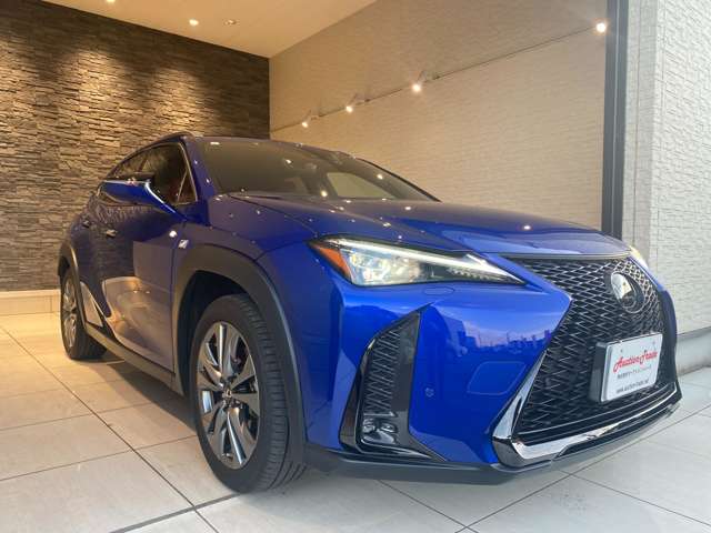 レクサス ＵＸ２５０ｈ Ｆスポーツ R5年 (九州・沖縄) 99