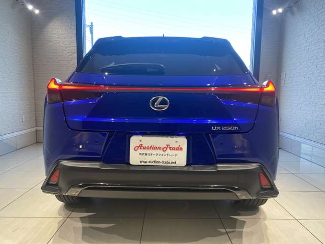 レクサス ＵＸ２５０ｈ Ｆスポーツ R5年 (九州・沖縄) 99