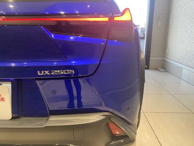 レクサス ＵＸ２５０ｈ Ｆスポーツ R5年 (九州・沖縄) 99