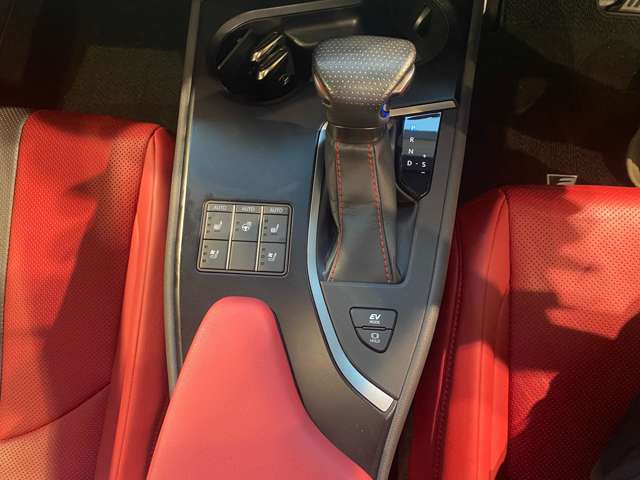 レクサス ＵＸ２５０ｈ Ｆスポーツ R5年 (九州・沖縄) 99