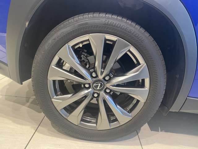 レクサス ＵＸ２５０ｈ Ｆスポーツ R5年 (九州・沖縄) 99