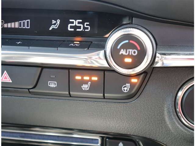 マツダ ＭＡＺＤＡ３　セダン １．８ ＸＤプロアクティブ ツーリング セレクション ディーゼルターボ R4年 (関東) 99