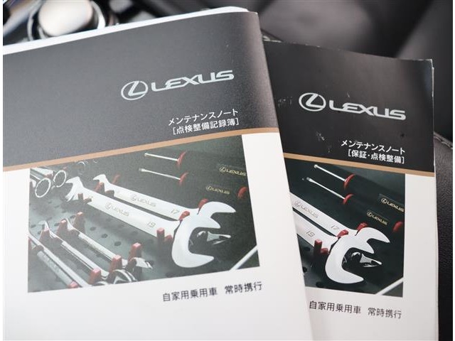 レクサス ＧＳハイブリッド ３００Ｈ Ｆスポーツ H29年 (関東) 99