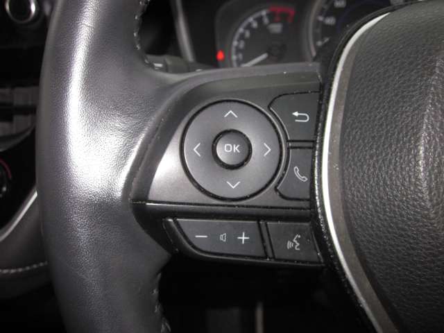 トヨタ カローラ　ツーリング　ハイブリッド １．８ ハイブリッド Ｓ R2年 (関東) 99